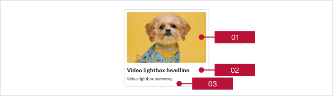 A screenshot of a video lightbox component is presented in a card style with red labels to describe its features.